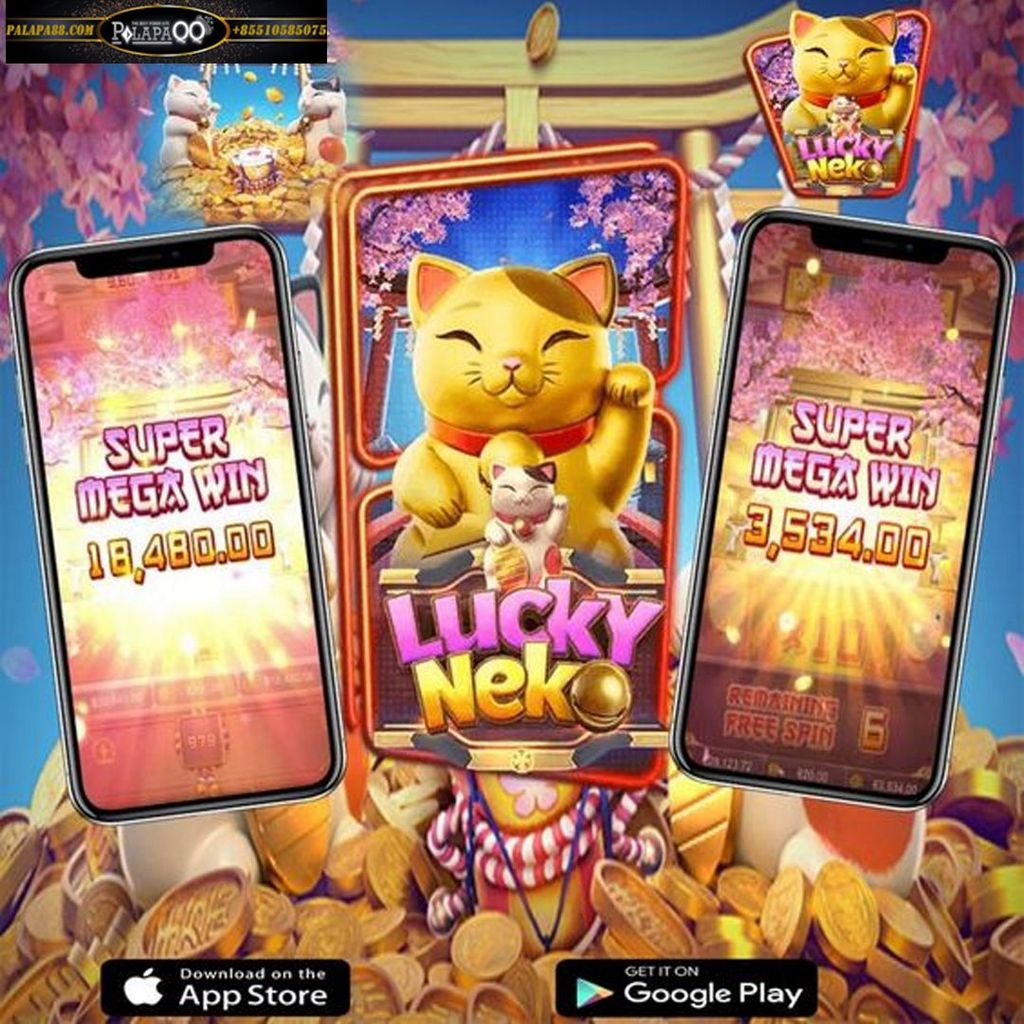 ការពិពណ៌នាអំពី Port Demonstration Lucky Neko